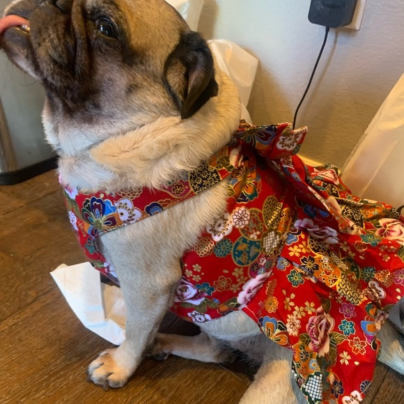 Meet your Posher’s, CHAI & ABIGAIL! - Picture 12 of 12